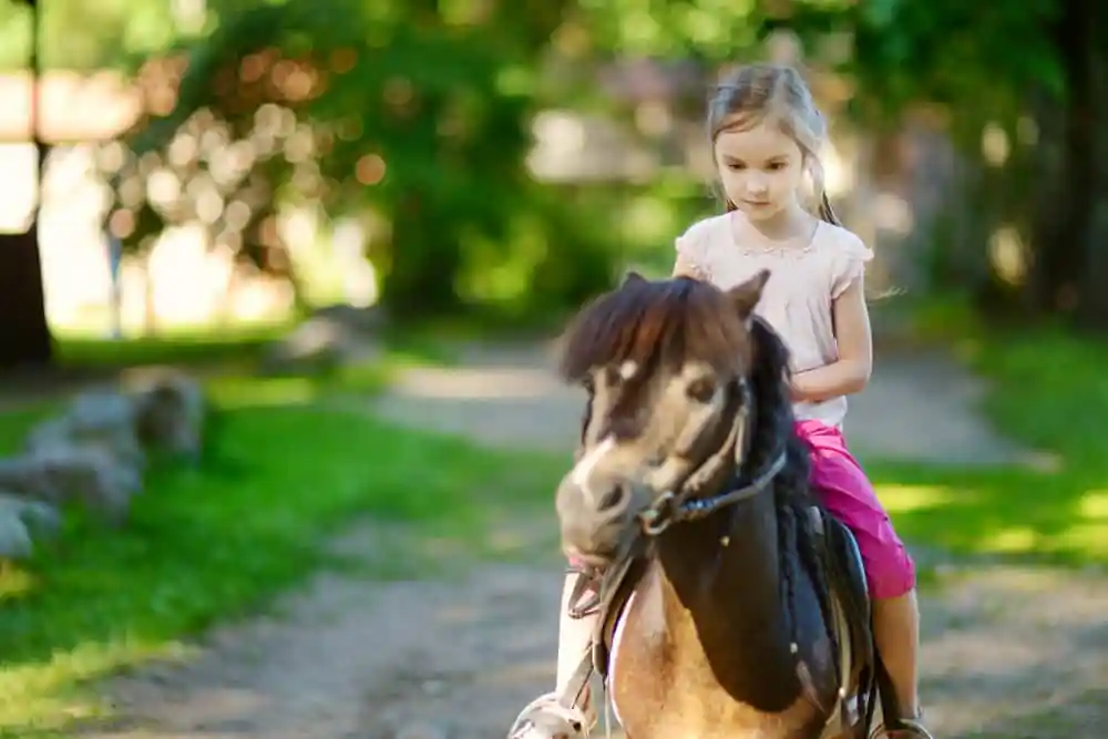 Pony Ride