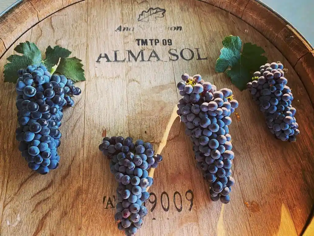Alma Sol Winery