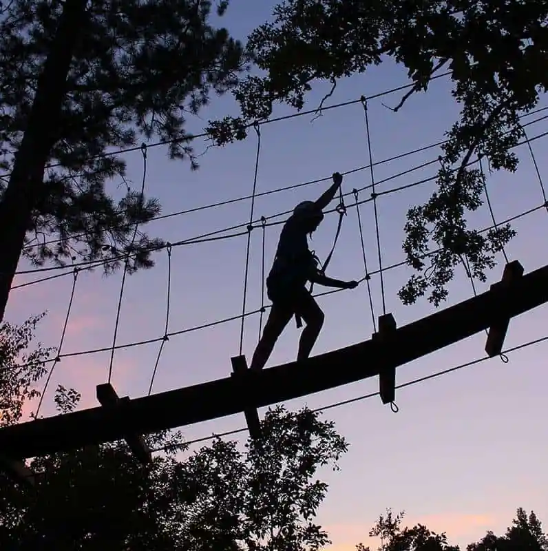 The Blue Zip Line And Farm
