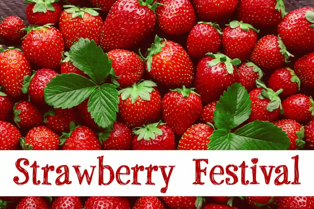 Strawberry Festival