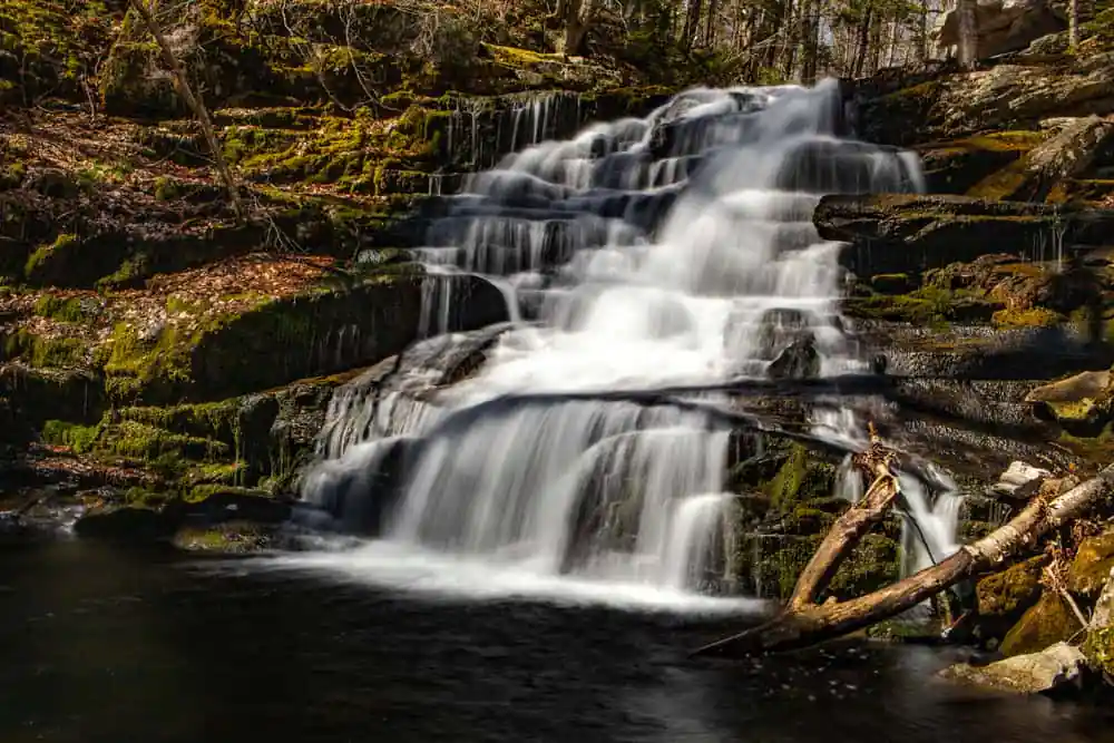 Tunxis State Forest