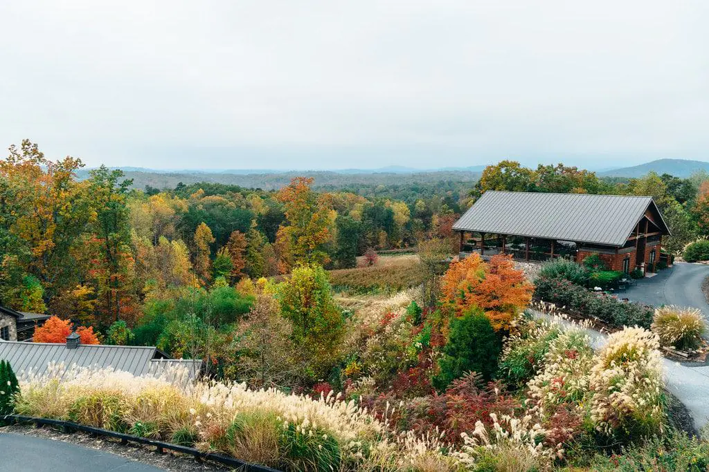 Wolf Mountain Vineyards