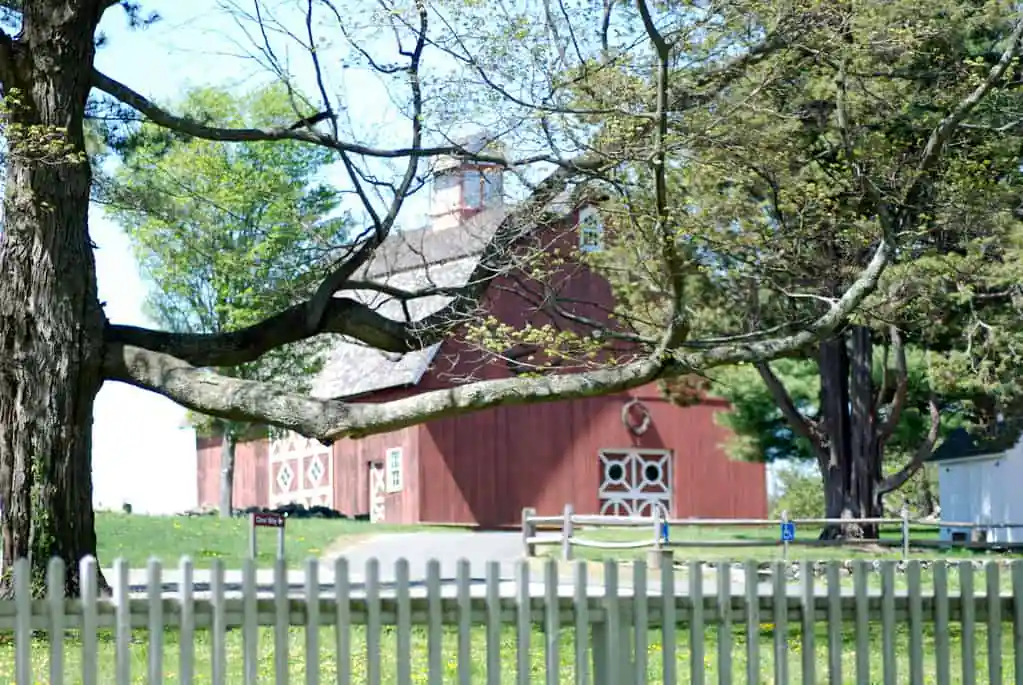 Ambler Farm