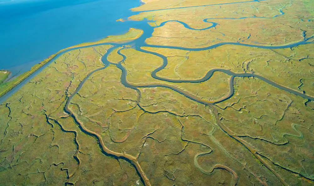 Bair Island