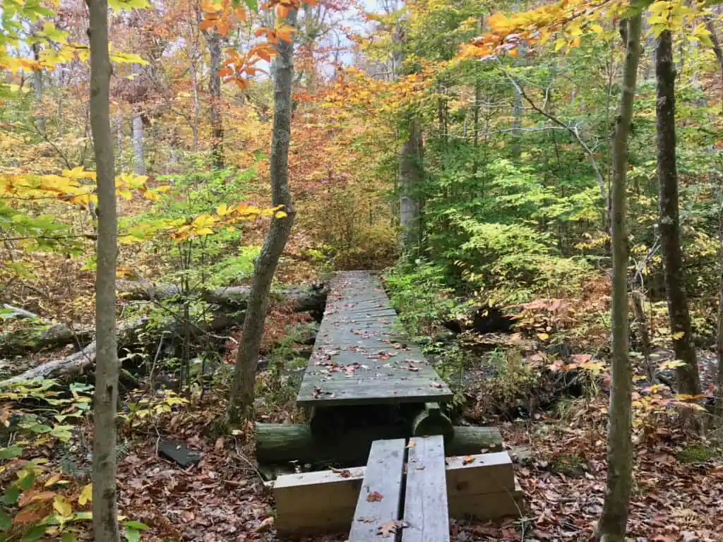 Cockaponset State Forest