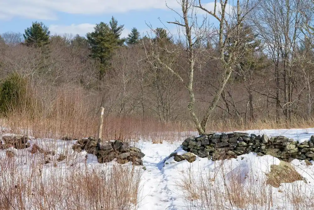 Cormier Woods