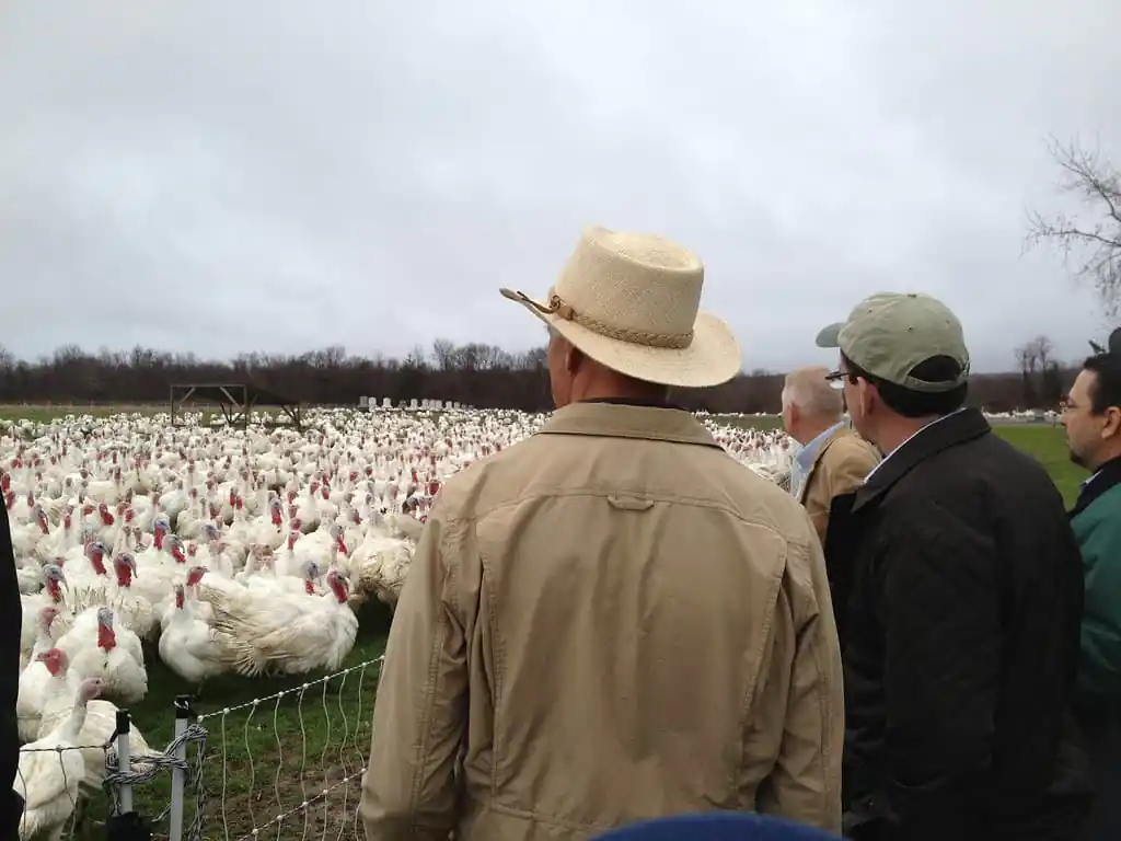Ekonk Hill Turkey Farm