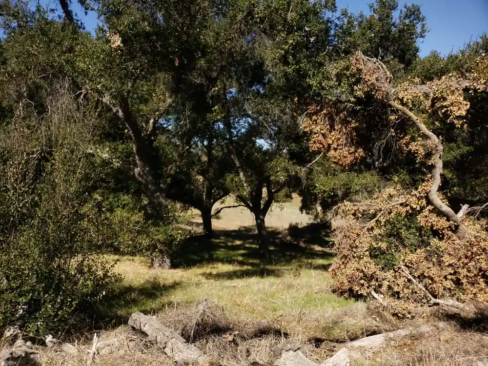 King Gillette Ranch