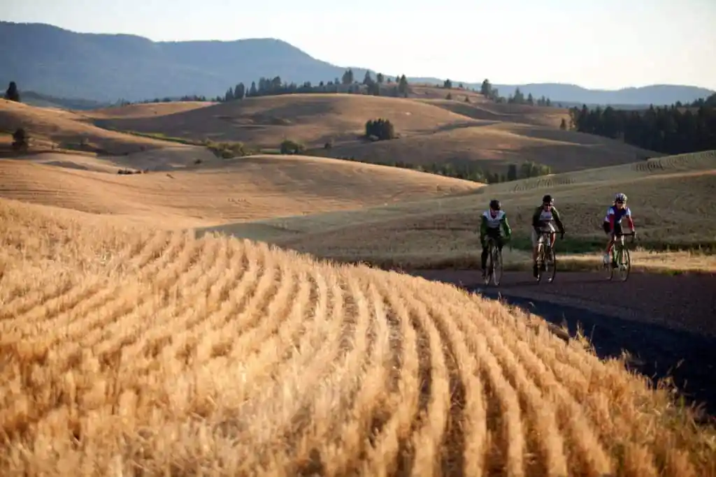 Fondo on the Palouse