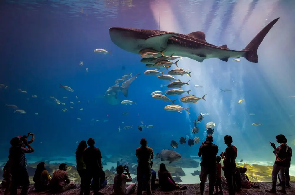 Georgia Aquarium, Atlanta