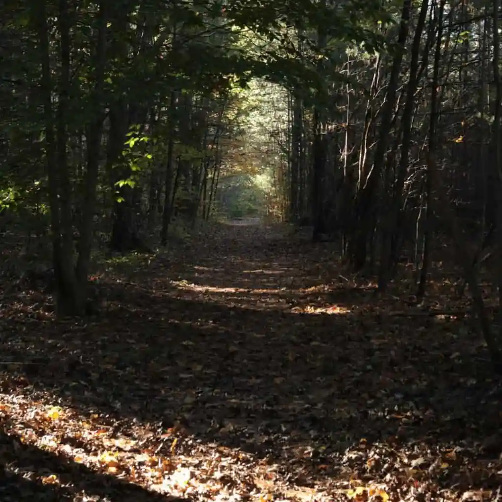 Great Woods Conservation Area