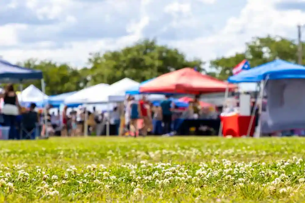 Festival in the Park