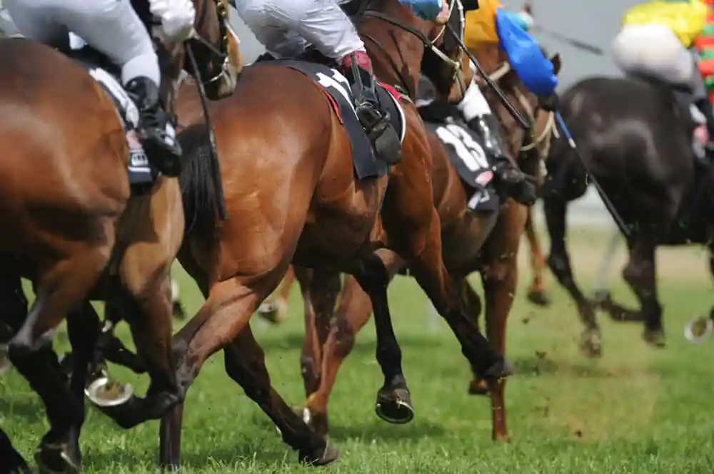Horse Racing