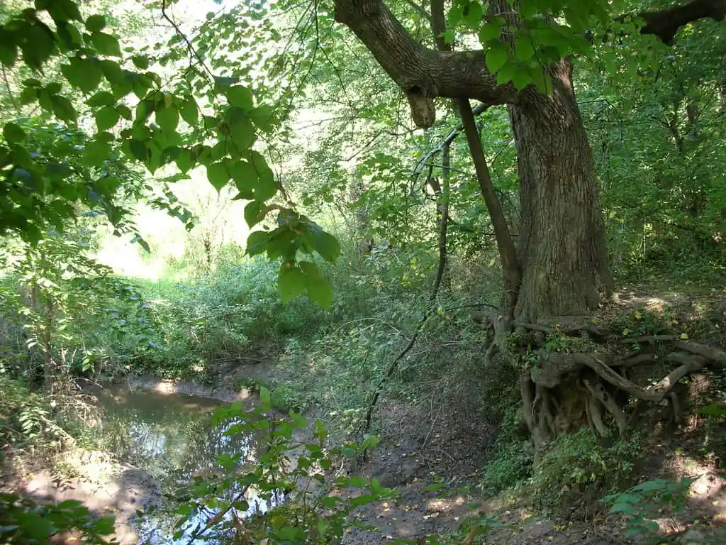 Hickory Hill Park