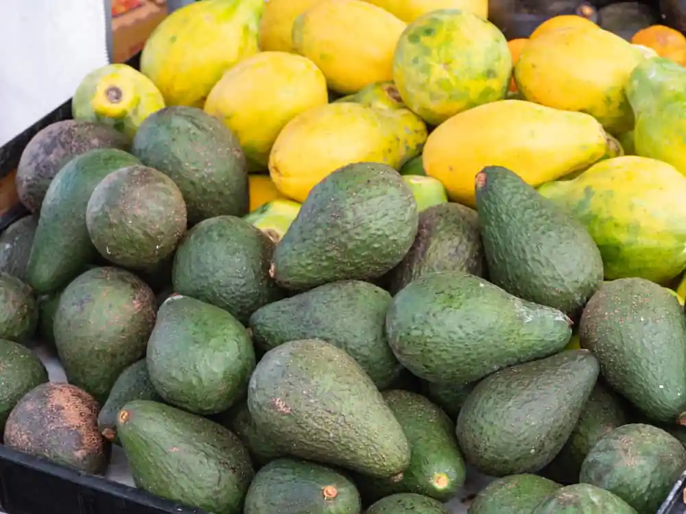 Kailua Farmers' Market