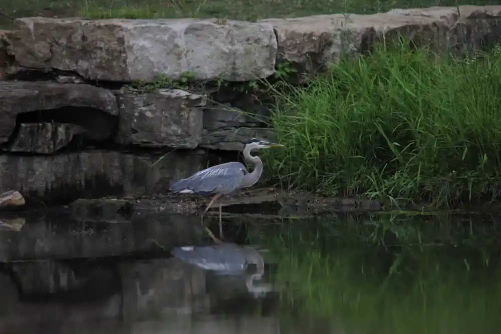 Lawrence Rotary Arboretum