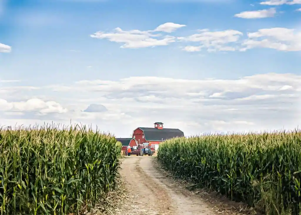Linder Farms