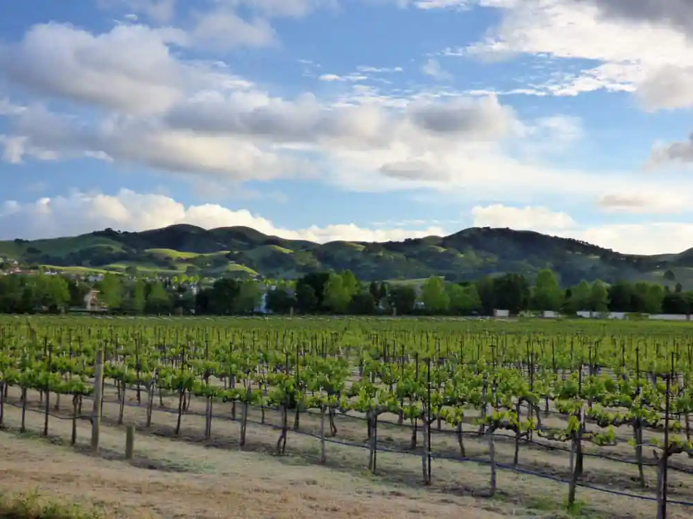 Livermore Valley