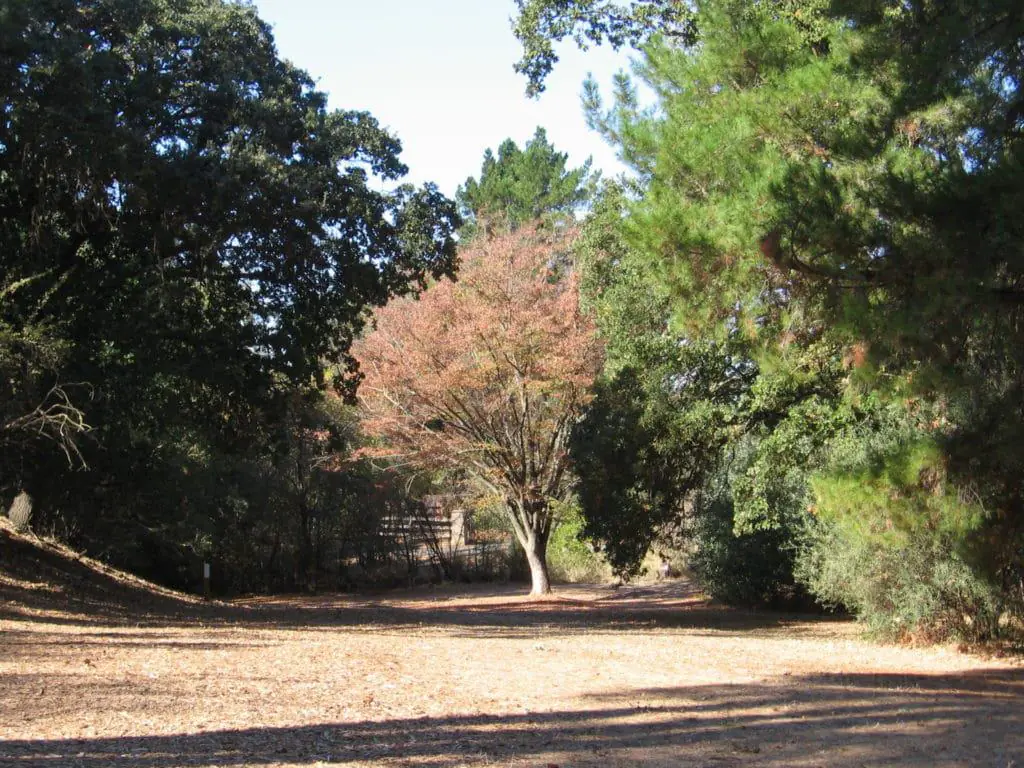 Markham Nature Park and Arboretum