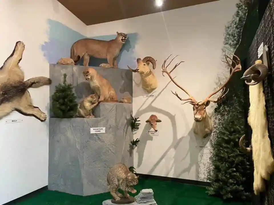 Sheets Wildlife Museum
