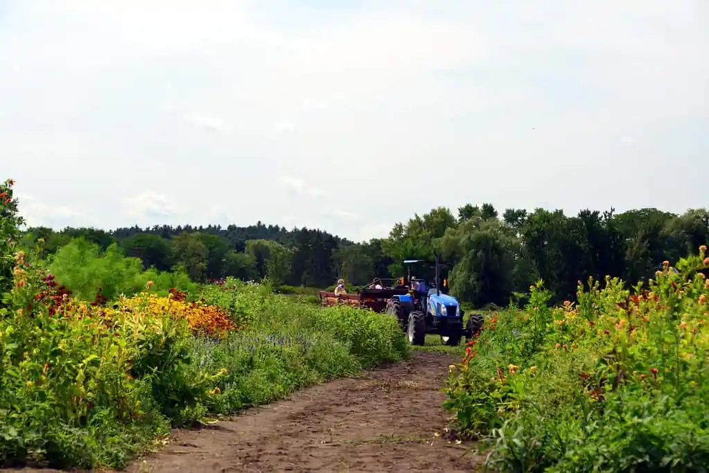 Verrill Farm