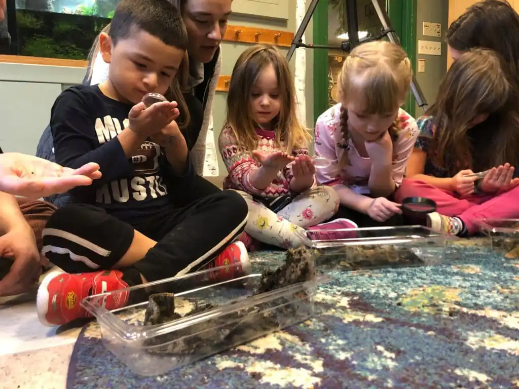 Children's Museum And Theatre Of Maine