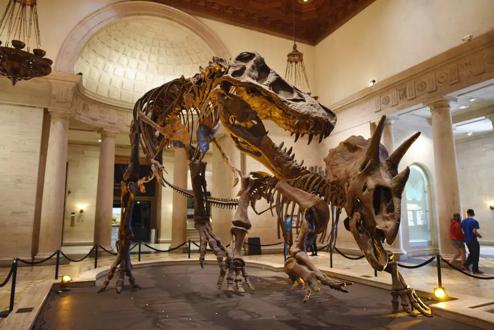 Natural History Museum of Los Angeles County