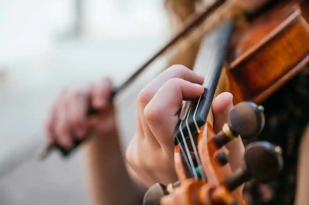 Violin