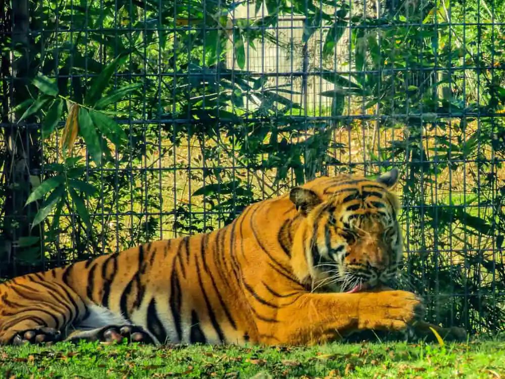 Baton Rouge Zoo