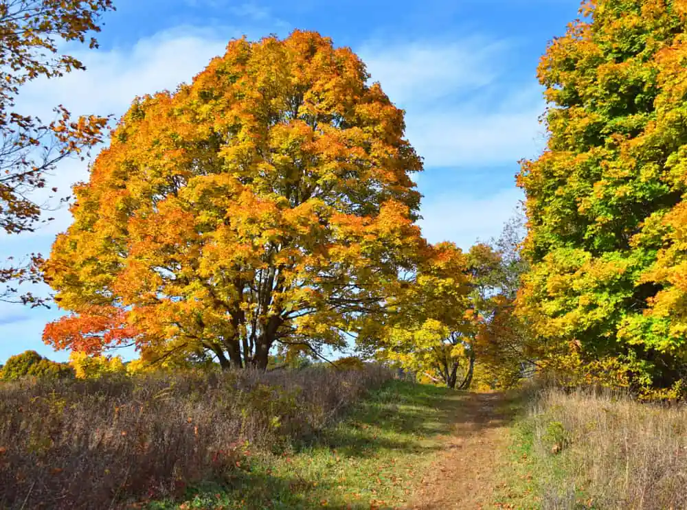 Bay Circuit Trail