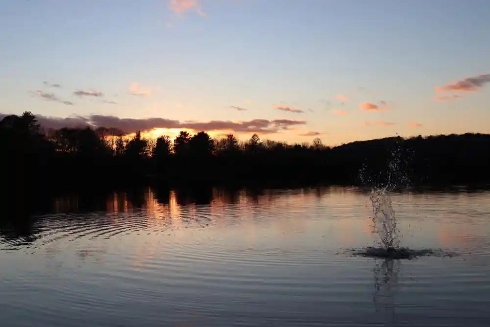 Buckmaster Pond