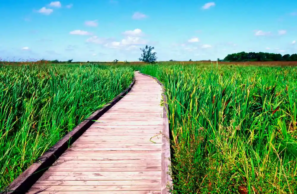 Creole Nature Trail