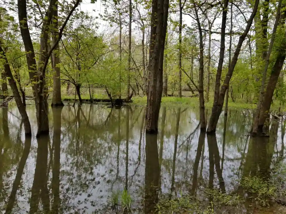 Des Plaines River Trail, Wheeling