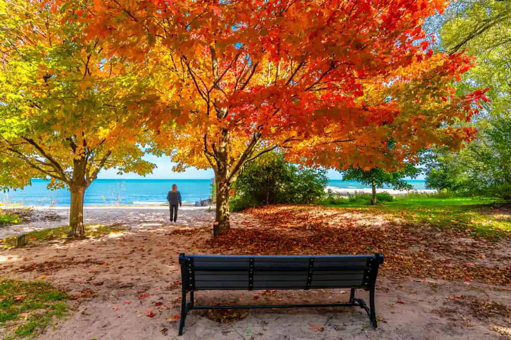 Gillson Park