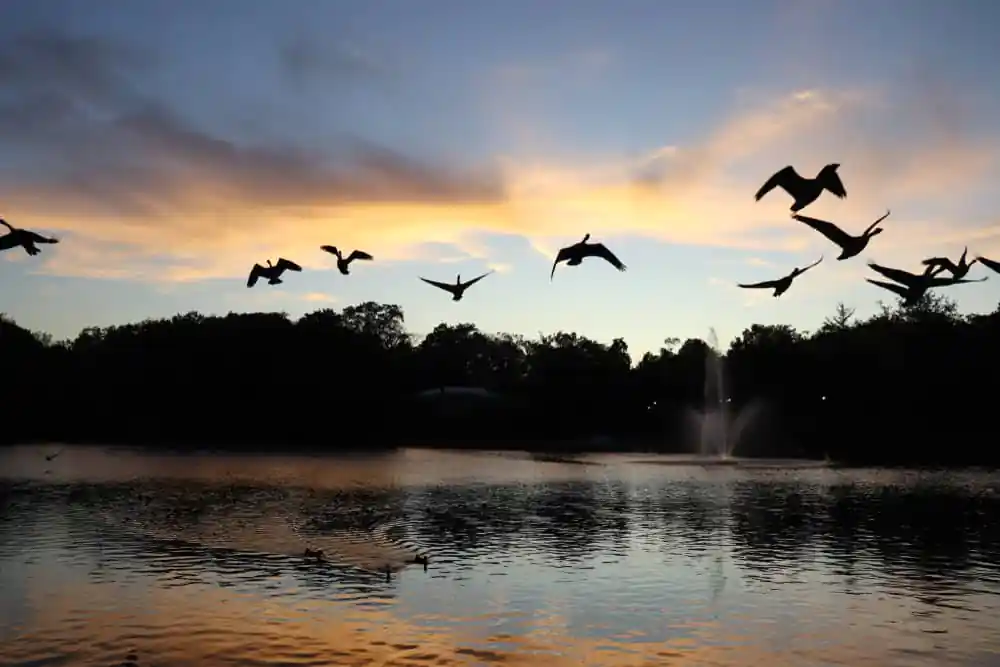 Hagerstown City Park
