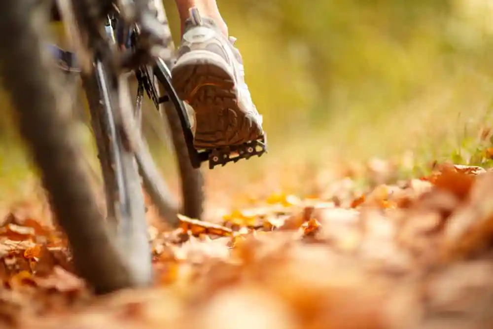 Mountainbike Trail