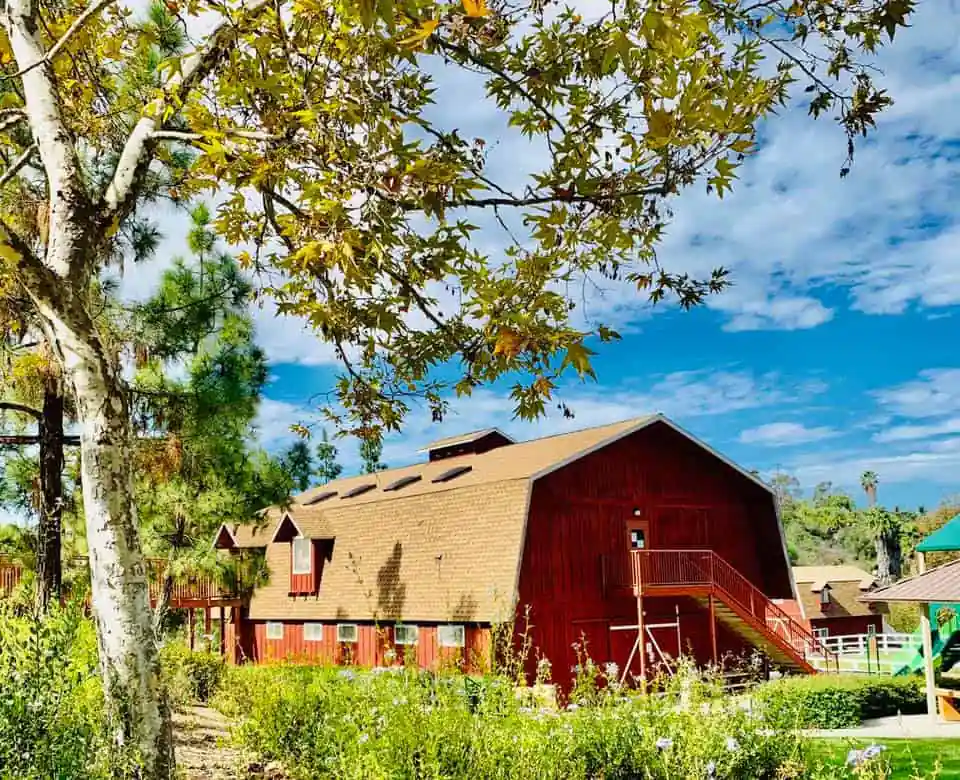 Jack’s Pond Park and Nature Center