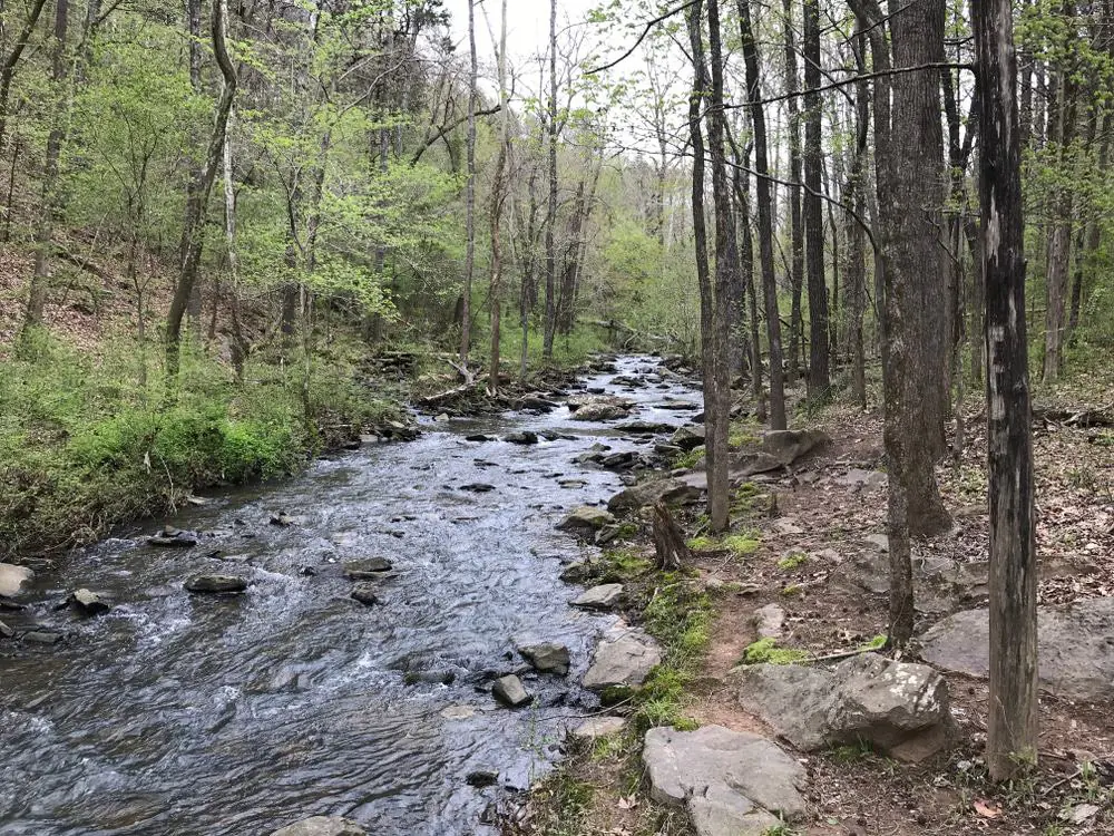 Lake Alma Hiking Trail
