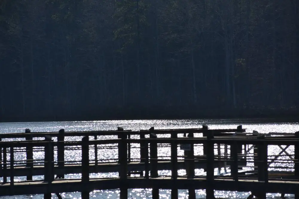 Lake McIntosh