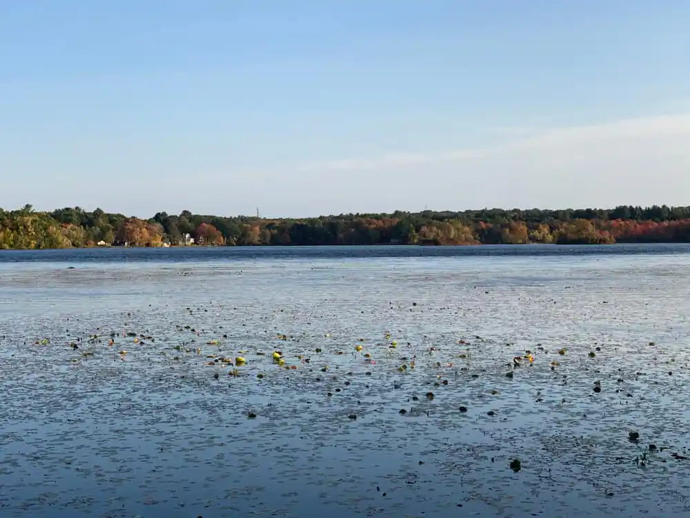 Lake Winthrop