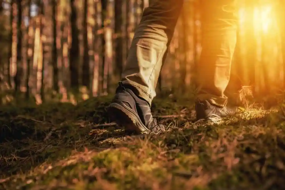 Hiking