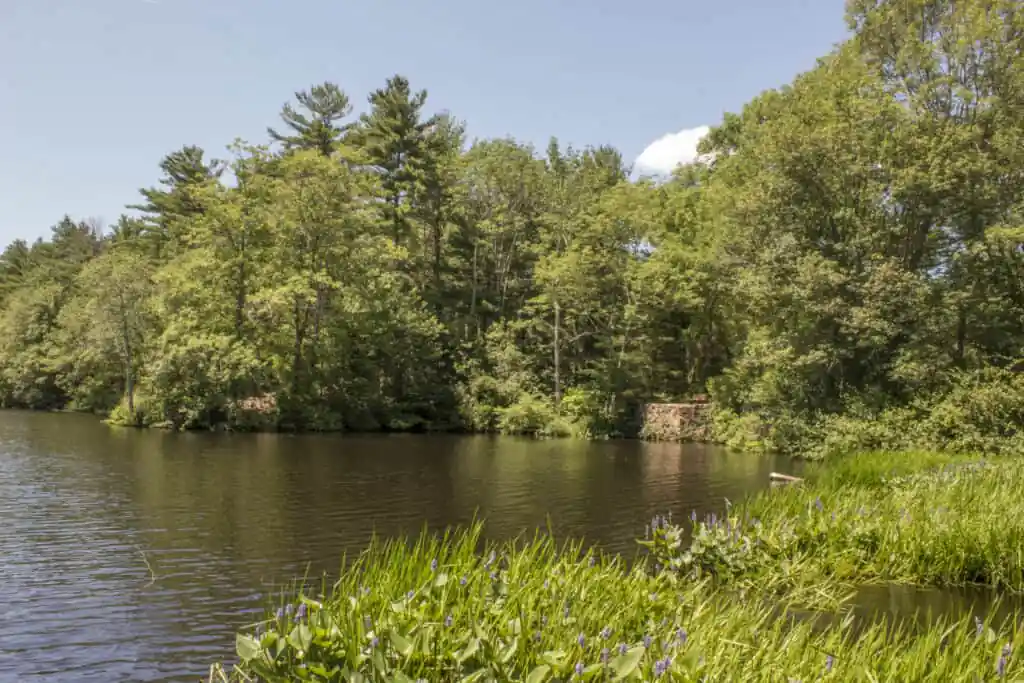 Luddam’s Ford Park