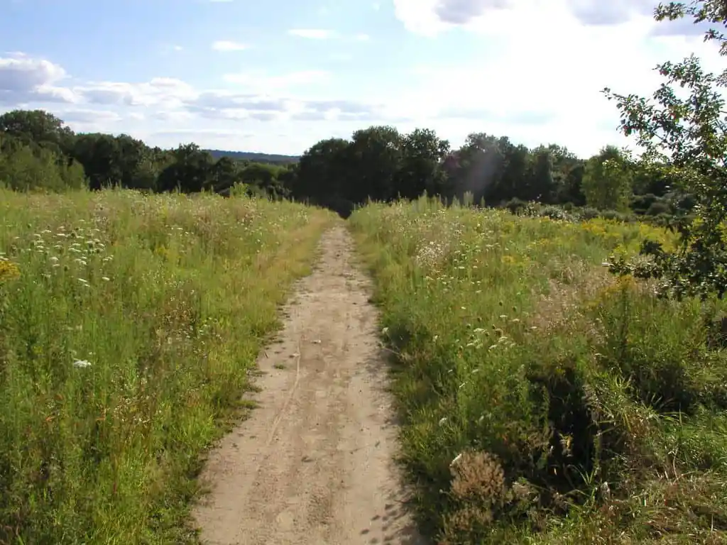 Mary Cummings Park