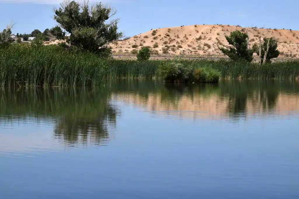 Mojave Narrows Regional Park
