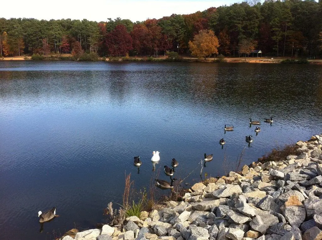 Murphey Candler Park