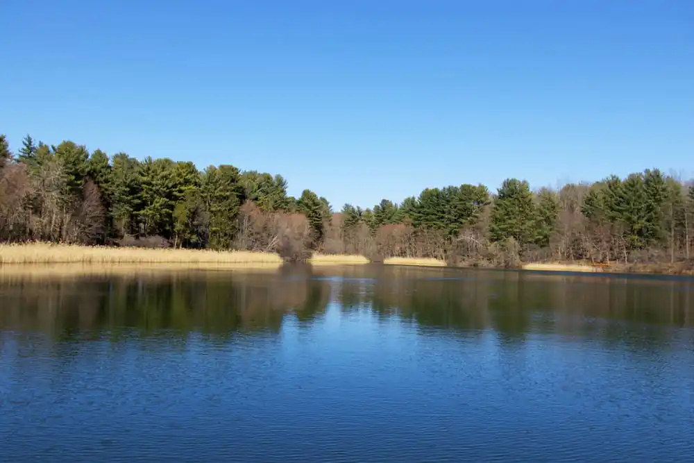 Osbornedale State Park