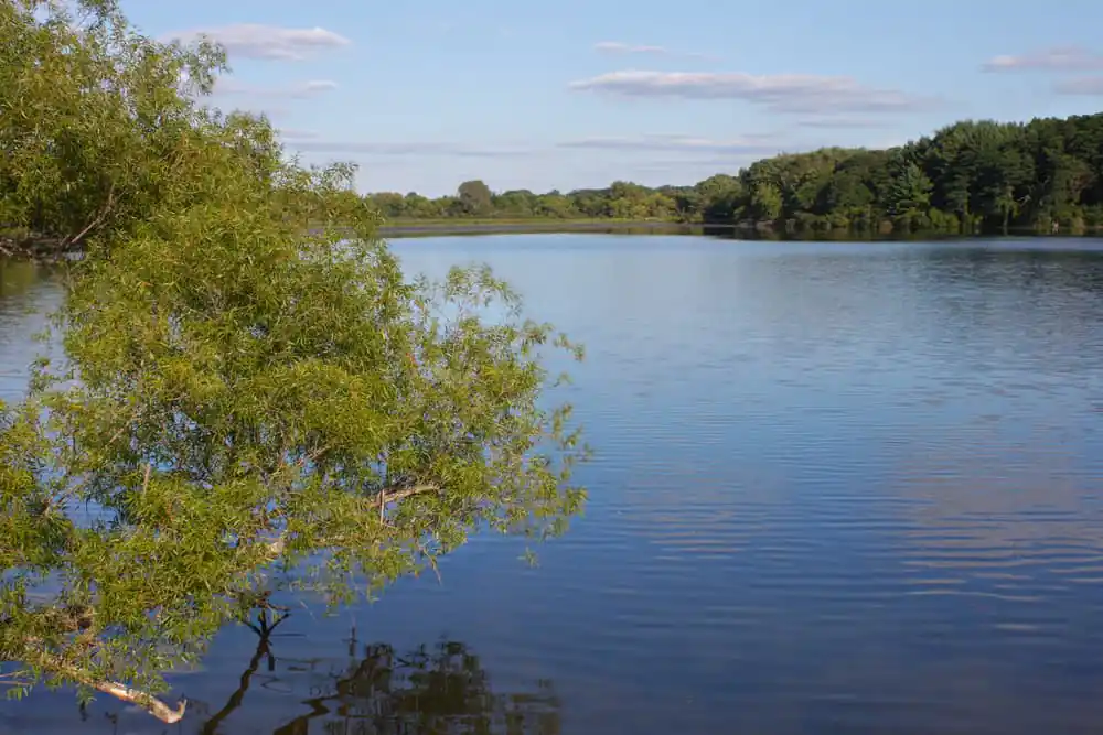 Pierce Lake