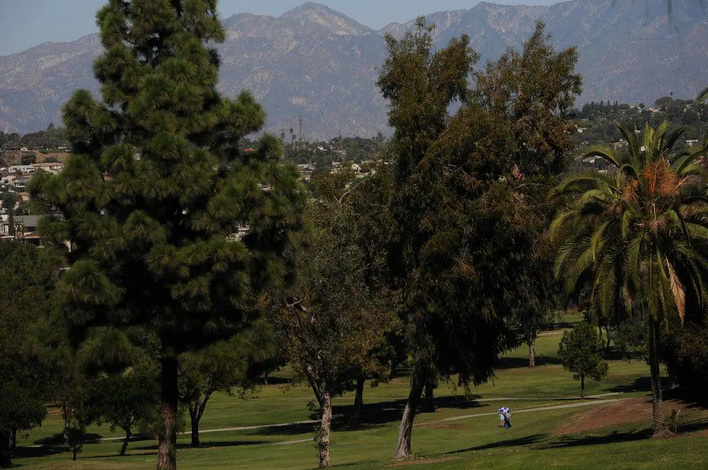 Montebello Municipal Golf Course