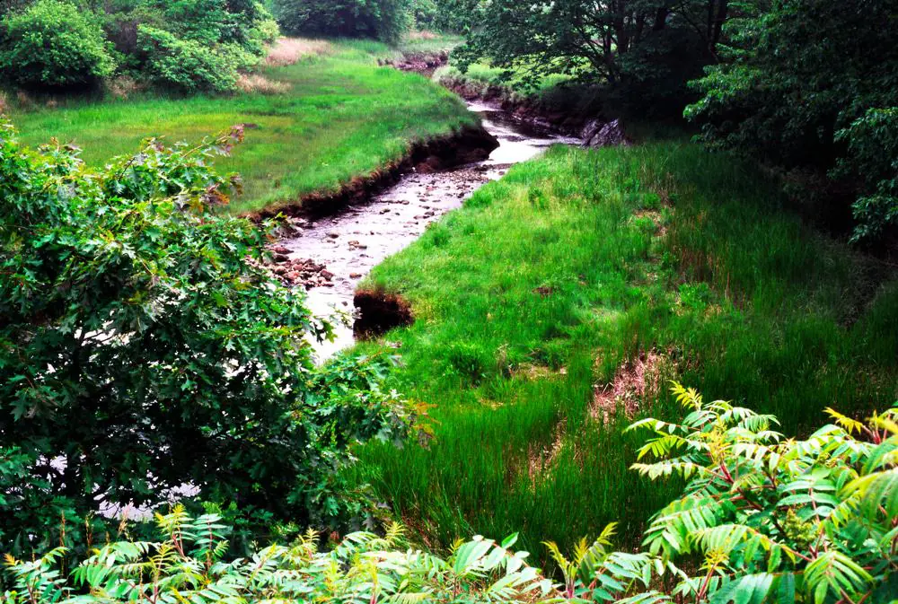 Rachel Carson National Wildlife Refuge