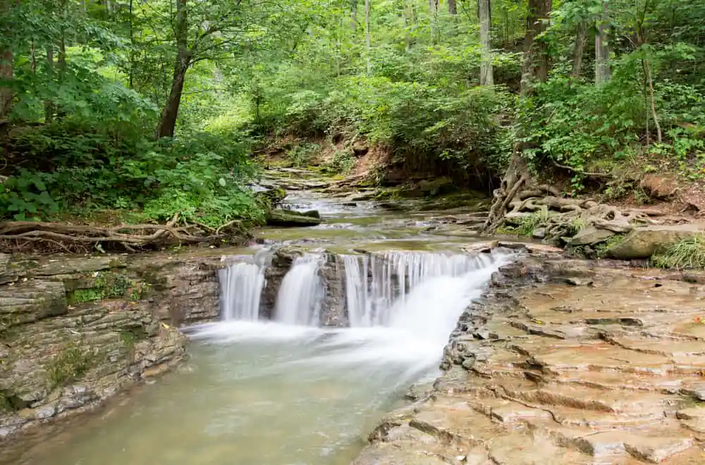 Saunders Springs Nature Preserve